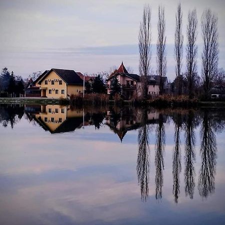 Guest House Vila Alexandar Палич Экстерьер фото