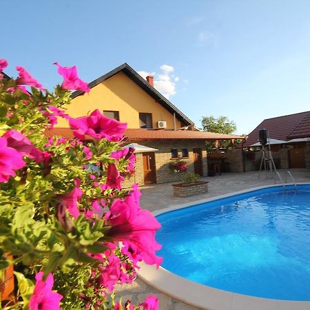 Guest House Vila Alexandar Палич Экстерьер фото